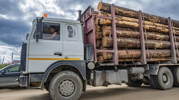 Бизнес просит ограничить вывоз деревянного сырья
